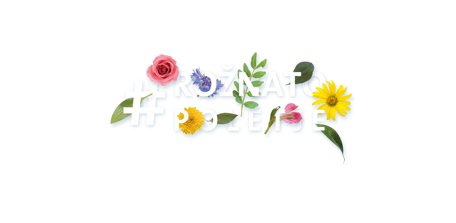 Ustvari rožnato poletje s Triglav Skladi